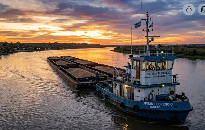 Vista de un río con embarcaciones, representando a la familia fluvial